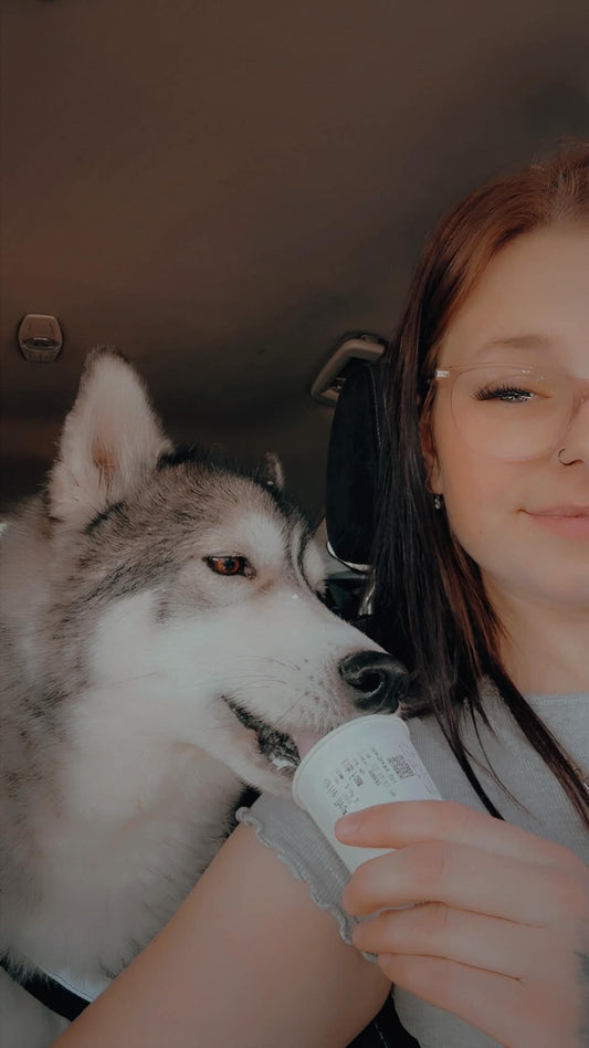 A Difficult Chapter for Major: Our Husky's Health Battle