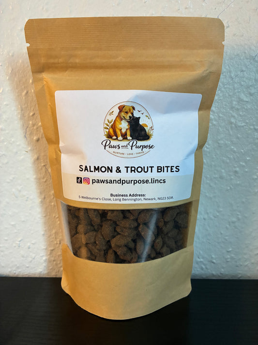 Salmon & Trout Fishy Training Bites — 200g Resealable Bag